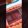 [ID: HdDiuG6r9Eo] Youtube Automatic